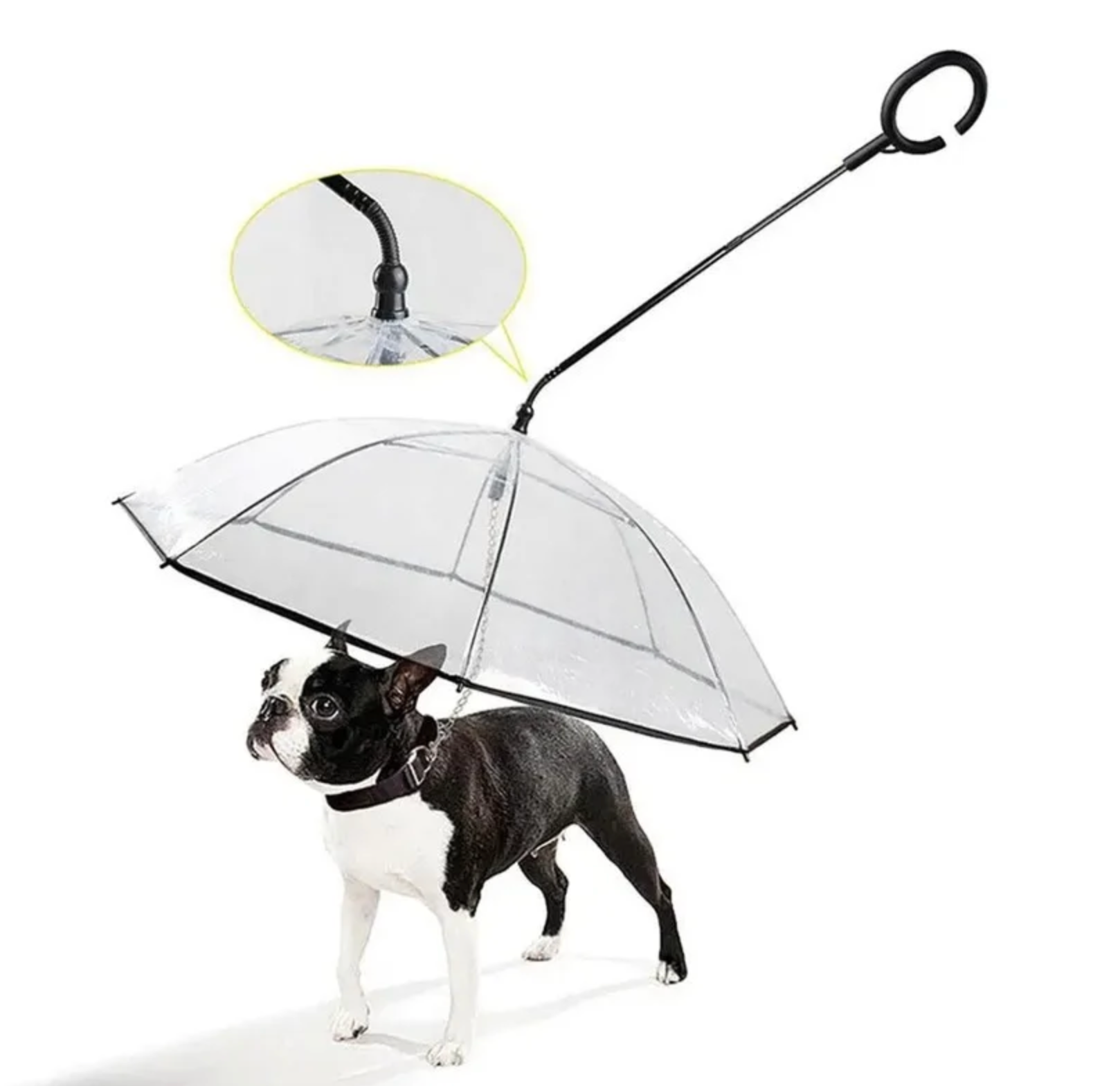 Parapluie pour chien avec laisse intégrée